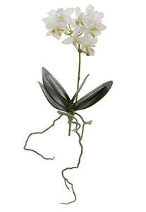 Life Like Faux Real Mini Phalaenopsis Orchid, White
