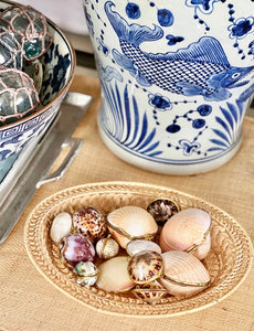 Seashell Coin Purse, Trinket Box