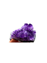 Amethyst Clusters XL