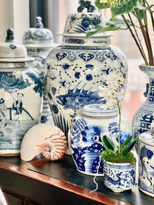 Chinoiserie Blue and White Porcelain Temple Jar, Fish Motif