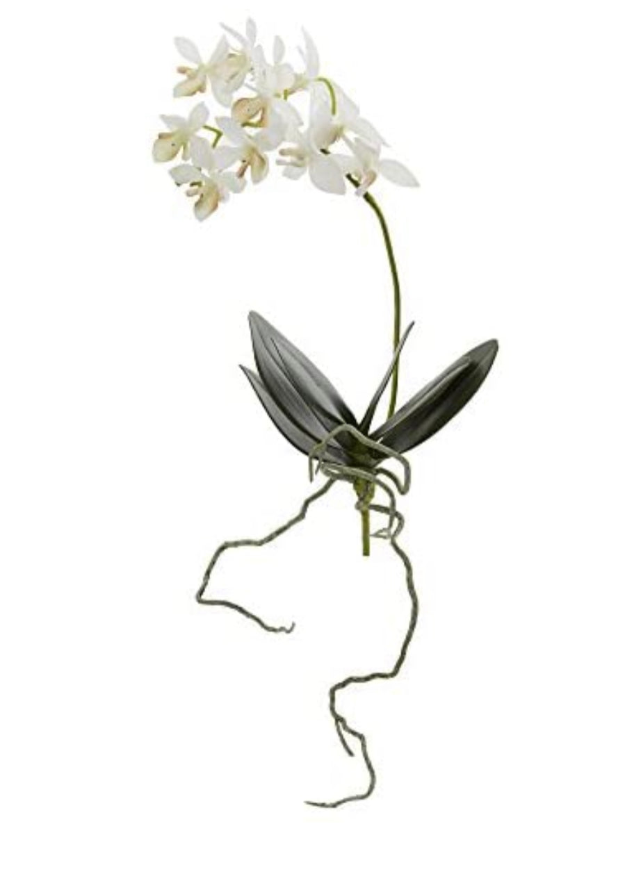 Life Like Faux Real Mini Phalaenopsis Orchid, White