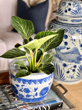 Blue and White Chinoiserie Planter