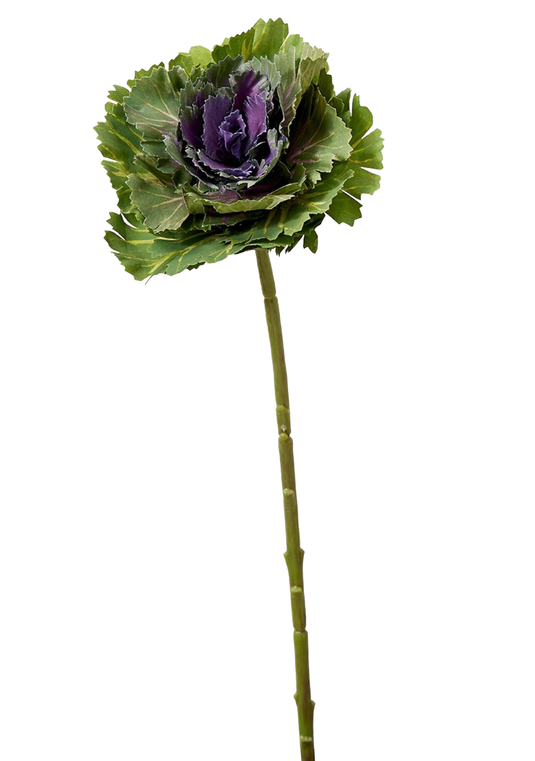 Faux Ornamental Cabbage Stem