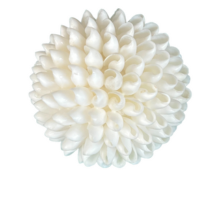 4" White Bubble Shell Ball