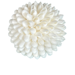 4" White Bubble Shell Ball