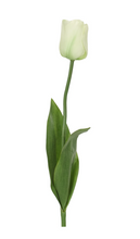 Lifelike Faux-Real White Tulip Stem -24"