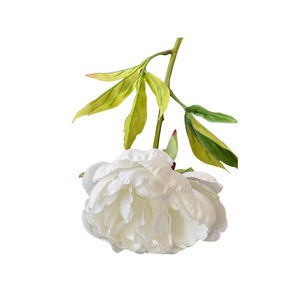 Faux White Peony Flower Stem ⁠Anthesis
