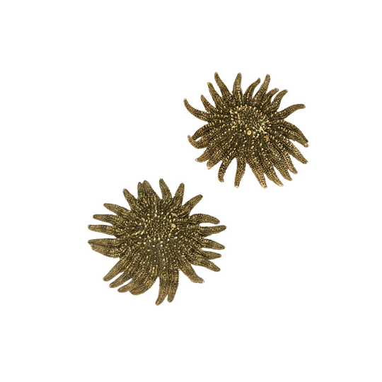 Sunflower Starfish 2"- 4", Set of 2
