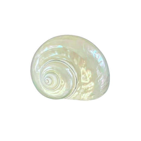 Pearl Turbo, 3" - 3.5"