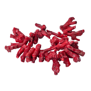 Authentic Red Coral Piece Beads