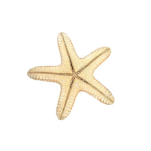 Starfish 5"- 6", Pentastar Obtusatus